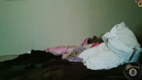 Snapshot of jahweed8 chatting on 8, 2, 2026 Jahweed online show from 8, 2, 2026