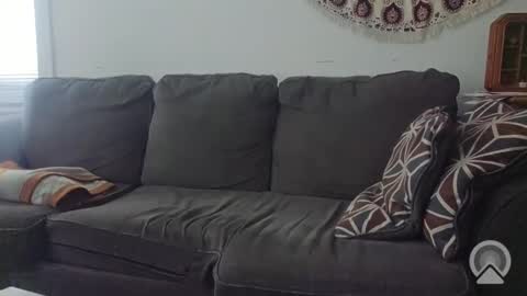 Jake online show from 20, 11, 2025