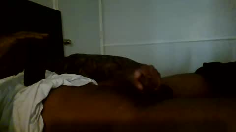 Snapshot of jamacianmehorny chatting on 2, 1, 2025 Jamacian online show from 2, 1, 2025