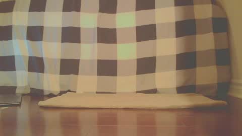 James online show from 13, 4, 2026