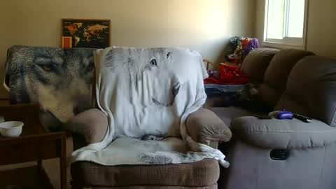 jameswolf777 online show from 9, 9, 2025