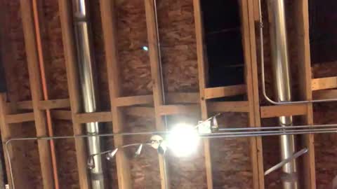 Snapshot of jamie19905 chatting on 29, 10, 2025 jamie19905 online show from 29, 10, 2025