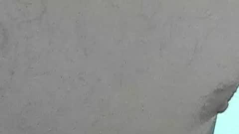 Snapshot of jamwarnerone chatting on 28, 7, 2026 Bootyshows online show from 28, 7, 2026