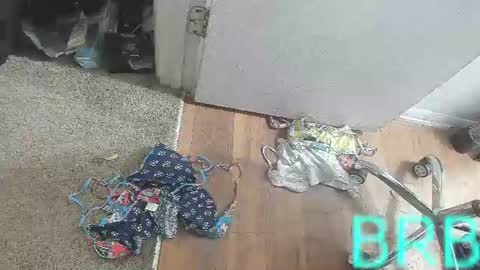 Snapshot of jamwarnerone chatting on 2, 8, 2026 Bootyshows online show from 2, 8, 2026