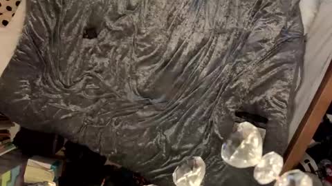 Snapshot of janetrans84 chatting on 21, 1, 2025 janetrans84 online show from 21, 1, 2025