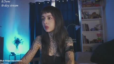 Snapshot of janne_maybe chatting on 2, 6, 2026 jmaybe e online show from 2, 6, 2026
