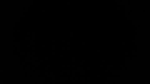 jasmine_star12 online show from 12, 1, 2026