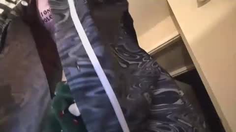 jasper1thewhor3 online show from 25, 10, 2025