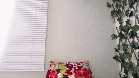 JKing  online show from 8, 1, 2025