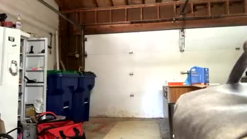 Jaws  online show from 12, 9, 2025