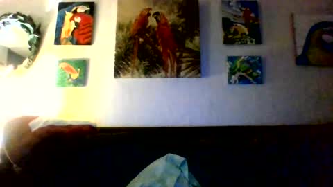 Snapshot of jay_jay1475 chatting on 14, 7, 2026 jay-jay1475 online show from 14, 7, 2026