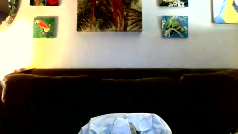 Snapshot of jay_jay1475 chatting on 23, 7, 2026 jay-jay1475 online show from 23, 7, 2026