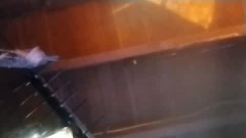 Snapshot of jaydogg6494 chatting on 14, 2, 2025 Meetmyfreak online show from 14, 2, 2025