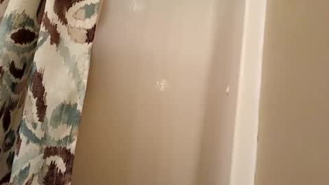 jaywulf22 online show from 4, 11, 2025