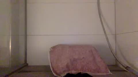 Hafte online show from 9, 10, 2025