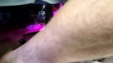 jbone1488 online show from 26, 3, 2026