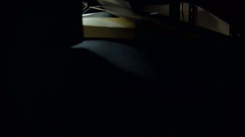 dookie online show from 1, 3, 2025