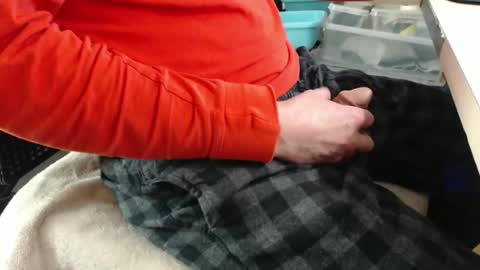 Snapshot of jc200000 chatting on 17, 12, 2025 jc200000 online show from 17, 12, 2025