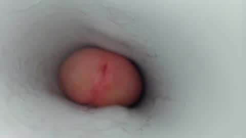 jeffrodgerschaturbat online show from 17, 1, 2026