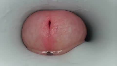 jeffrodgerschaturbat online show from 17, 3, 2026