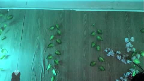 Snapshot of jenelotizz06 chatting on 27, 9, 2025 Jenelotizz online show from 27, 9, 2025