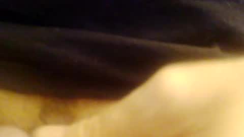 Snapshot of jepn1112 chatting on 9, 12, 2024 JoeEBear online show from 9, 12, 2024