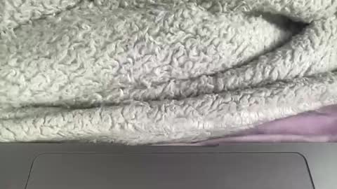 Snapshot of jerking1981 chatting on 1, 1, 2025 jerking1981 online show from 1, 1, 2025