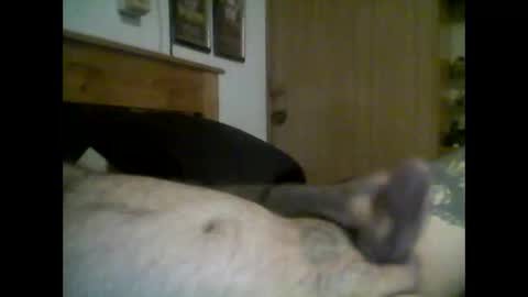 jerkmate6666 online show from 16, 9, 2025