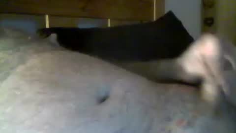 Snapshot of jerkmate6666 chatting on 1, 5, 2026 jerkmate6666 online show from 1, 5, 2026
