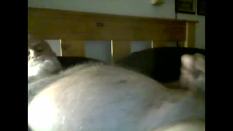 Snapshot of jerkmate6666 chatting on 9, 5, 2026 jerkmate6666 online show from 9, 5, 2026