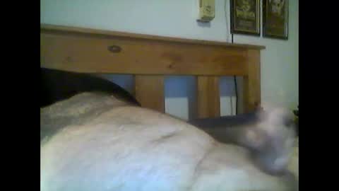 Snapshot of jerkmate6666 chatting on 15, 5, 2026 jerkmate6666 online show from 15, 5, 2026