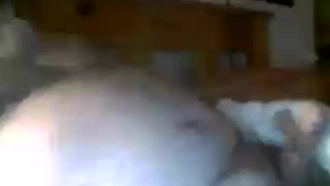 Snapshot of jerkmate6666 chatting on 15, 7, 2026 jerkmate6666 online show from 15, 7, 2026