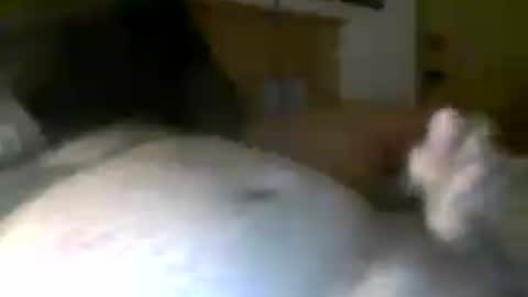 Snapshot of jerkmate6666 chatting on 20, 7, 2026 jerkmate6666 online show from 20, 7, 2026