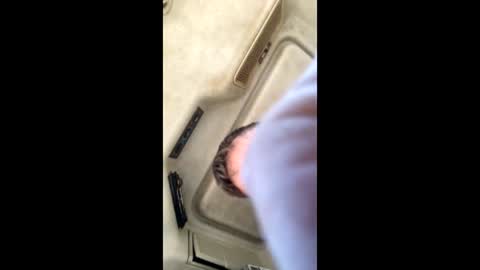 jesaj online show from 26, 11, 2025