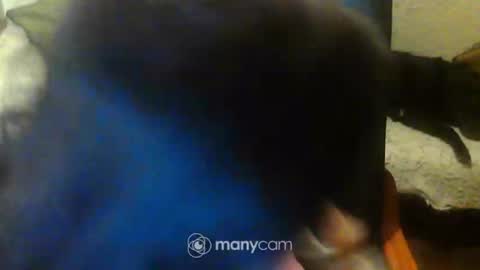 jessjess4you online show from 15, 2, 2025