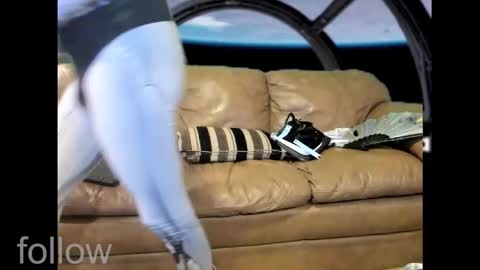 Snapshot of jessyboi0504 chatting on 28, 10, 2025 seductress Cyber Succubus online show from 28, 10, 2025