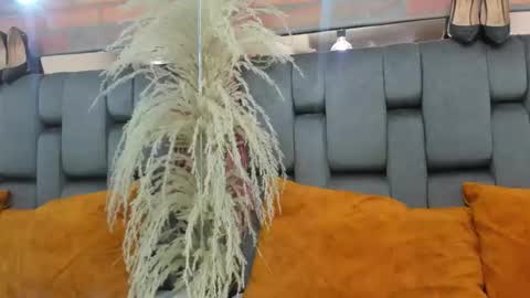 JESSY CORTES online show from 4, 3, 2026