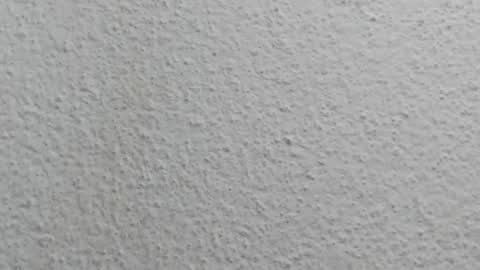 JESSY CORTES online show from 12, 4, 2026