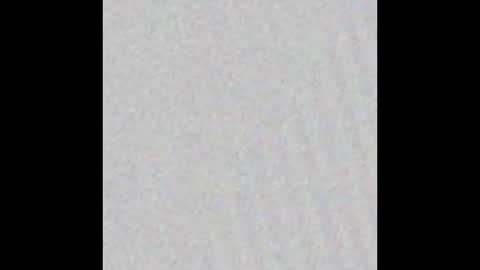 jinscreet online show from 20, 2, 2025