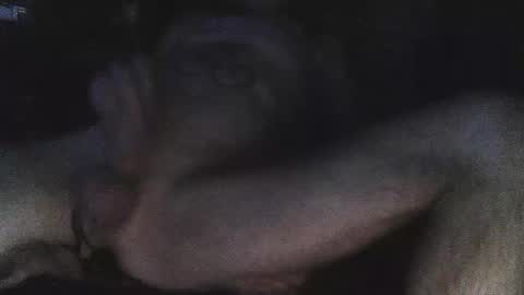 jjohnathan529 online show from 24, 2, 2025