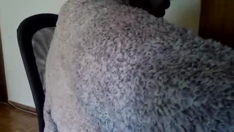 Snapshot of joaodias_18 chatting on 13, 12, 2024 joaodias_18 online show from 13, 12, 2024