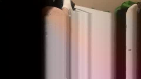 Snapshot of jocmyv9wokry chatting on 20, 2, 2026 jocmyv9wokry online show from 20, 2, 2026