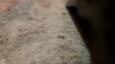 joemancini643 online show from 21, 9, 2025