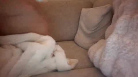 joeybanan online show from 14, 12, 2025