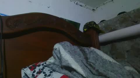 Snapshot of johnny_deep_420 chatting on 31, 12, 2024 Johnny online show from 31, 12, 2024