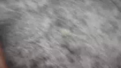 Johnny online show from 21, 12, 2024