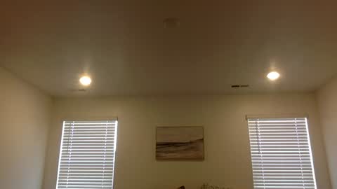 Snapshot of johntitoo chatting on 6, 7, 2026 John Tito online show from 6, 7, 2026