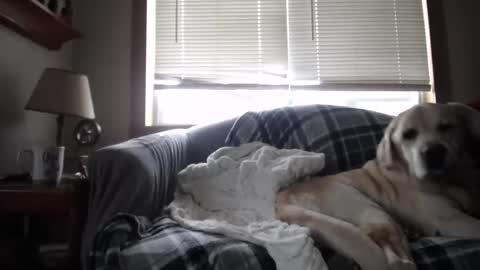 Snapshot of johstondude chatting on 5, 11, 2025 Johston online show from 5, 11, 2025