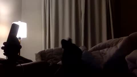 jokerwayne32 online show from 8, 4, 2026