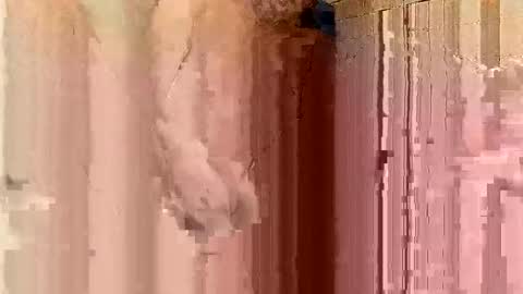 Snapshot of jonathanrossmyers858 chatting on 21, 1, 2025 jonathanrossmyers858 online show from 21, 1, 2025